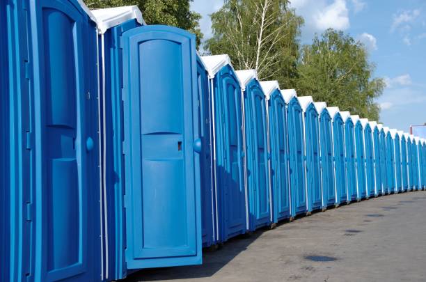 Best Portable bathroom rental  in Meadow Vista, CA